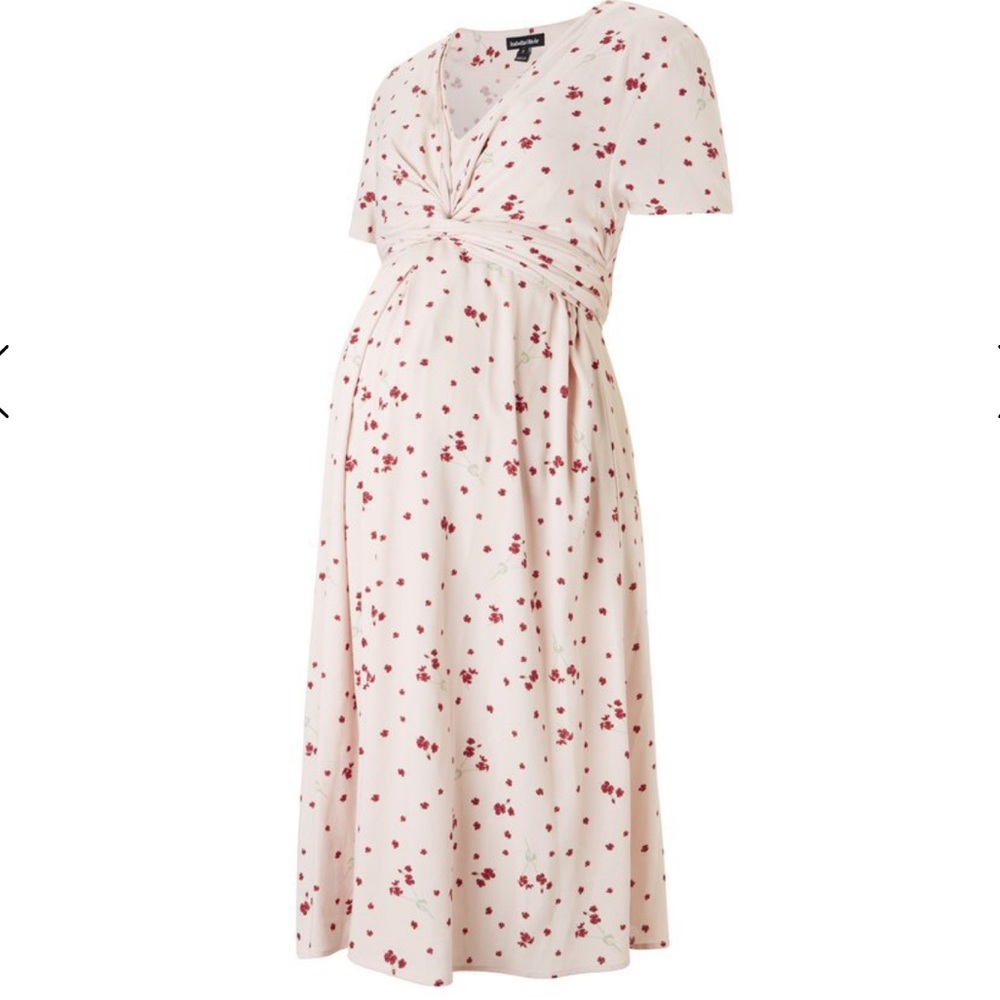 Isabella Oliver Maternity Dress